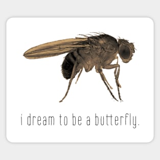 i dream to be a butterfly. Sticker